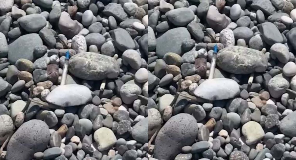 🎥”SOS! ფრთხილად იყავით! ასეთი საგანგაშო მდგომარეობაა!” – რა კადრები ვრცელდება ბათუმიდან