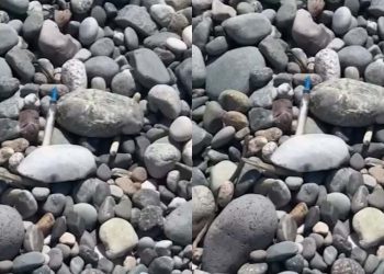 🎥”SOS! ფრთხილად იყავით! ასეთი საგანგაშო მდგომარეობაა!” – რა კადრები ვრცელდება ბათუმიდან