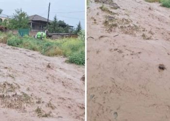 სტიქია კახეთში – უხვმა ნალექმა სიღნაღის მუნიციპალიტეტი დააზარალა