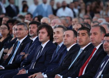 “ქართული ოცნება“ მოქალაქეებს სოციალურ ქსელებში შეურაცხყოფისთვის უჩივის