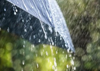 რას ფიქრობს მოსახლეობა თვითმმართველობის არჩევნებზე – ISSA-ს კვლევა