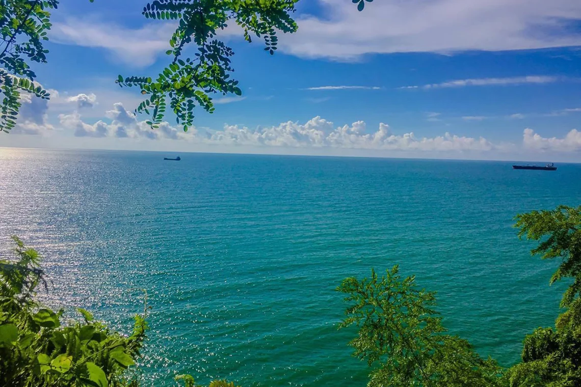 როგორია შავი ზღვის წყლის ხარისხი – ცნობილია ახალი ლაბორატორიული კვლევების შედეგი