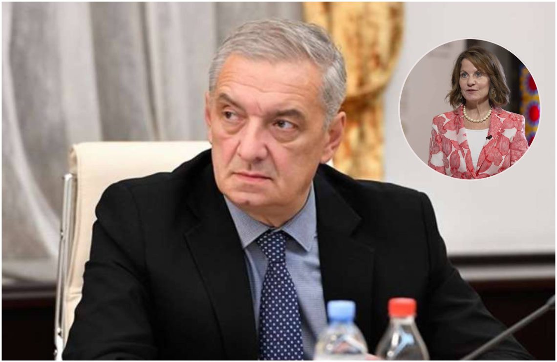 “როგორც წესი, ელჩები დროზე ადრე პენსიაზე არ გადიან” – რას აცხადებს გია ვოლსკი დანიგანის წასვლაზე