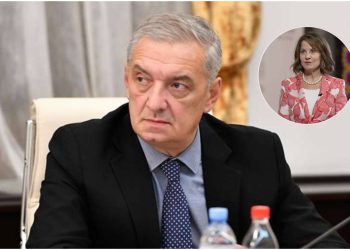 “როგორც წესი, ელჩები დროზე ადრე პენსიაზე არ გადიან” – რას აცხადებს გია ვოლსკი დანიგანის წასვლაზე