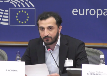 „ვამბობ „ჟურნალისტს“ და ვგულისხმობ ადამიანს, რომელიც ჯერ კიდევ არ დაუკავებიათ…“ – ბექა ყორშია გამოსვლა ევროპარლამენტში