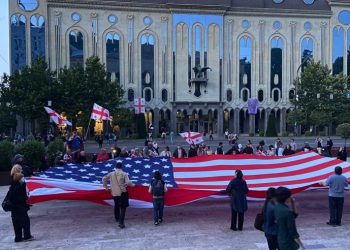 პროტესტის 201-ე დღე – მოქალაქეები სენატში ვიდეომიმართვის გასაგზავნად ემზადებიან