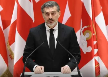 ვის შეეხო მიხეილ ყაველაშვილის შეწყალება?