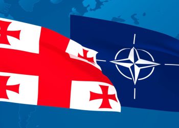 “შეშფოთებული ვართ საქართველოს მთავრობის გადაწყვეტილებით“ – რას აცხადებს NATO-ს ოფიციალური წარმომადგენელი?