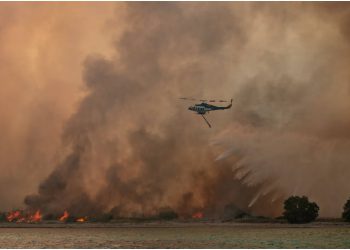 მასშტაბური ხანძარი საბერძნეთში – ცეცხლის გაჩენის საქმეზე საქართველოს მოქალაქეა დაკავებული