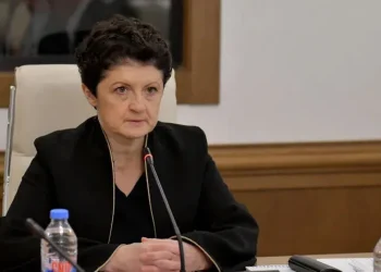 „თუ აქვთ სურვილი, კომისიაზე მობრძანდნენ, კარი ღიაა, ნუ დაელოდებიან მოწვევას“ – ვის მიმართავს თეა წულუკიანი?