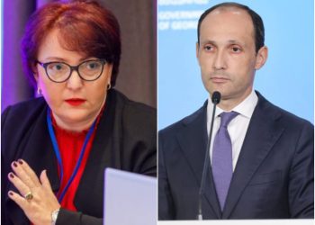 „დავითაშვილის გაშვება რას ნიშნავს, ხომ ხვდებით ყველა?“ – რას წერს თინათინ ხიდაშელი?