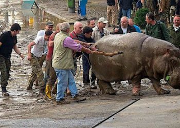 13 ივნისის ტრაგედიიდან 10 წელი გავიდა