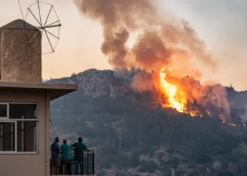„სა­ბერ­ძნეთ­ში ტყის ხან­ძრე­ბი მძვინ­ვა­რებს“ – რა ვითარებაა ადგილზე?