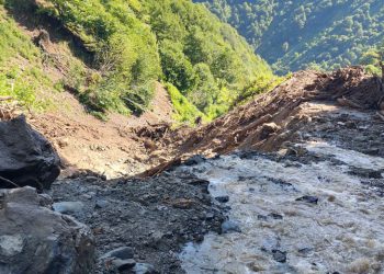 ჩოხატაურის მუნიციპალიტეტის სოფელ ზოტში, მეწყერის ჩამოწოლის შედეგად 8 ოჯახთან მისასვლელი გზა ჩაიკეტა