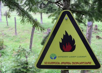 “ტემპერატურის მატება ტყეში ხანძრების გაჩენის რისკს ზრდის…” – ეროვნული სატყეო სააგენტო მოსახლეობას აფრთხილებს