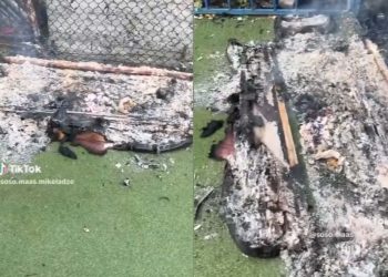 🎥”რა არ მინახავს ცხოვრებაში და ასეთი არაფერი, კიდევ კარგი მოვუსწარი”- რა ვიდეოს ავრცელებს მოქალაქე