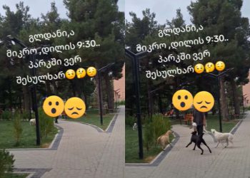 🎥”კადრები გლდანშია გადაღებული – რა მოხდა ერთ-ერთ სკვერში? – ვიდეოს დიდი გამოხმაურება მოჰყვა