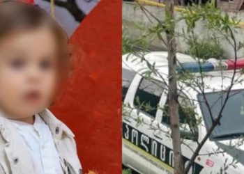 „სიცოცხლის ბოლო წუთამდე ვიბრძოლებ იმისთვის, რომ გავიგო, რა დაემართა ჩემს შვილს“ – საბავშვო ბაღში გარდაცვლილი 2 წლის დაჩის დედა ექსპერტიზის პასუხს ეხმაურება