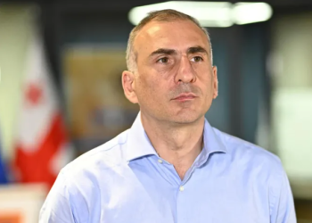 „ცოტა დაფეთებულები არიან „ქოცები“ და მაგიტომ არის ახლა, უცებ რომ დამიჭირონ“ – რას ამბობს ელისაშვილი?