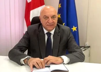 არსებული ინფორმაციით, რიჟვაძის საქმეზე, იარაღის დაუდევრად შენახვისთვის, ბრალდებულის სახით ალექსი ახვლედიანია დაკავებული