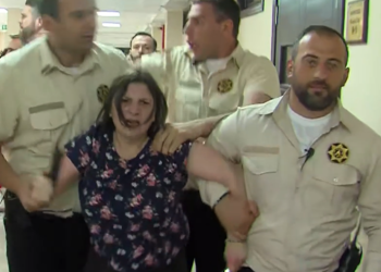 “ნინო დათაშვილმა დამირეკა ციხიდან, აქვს ძლიერი ტკივილები და ერთი ფეხი გაშეშებული“-სამოქალაქო აქტივისტი