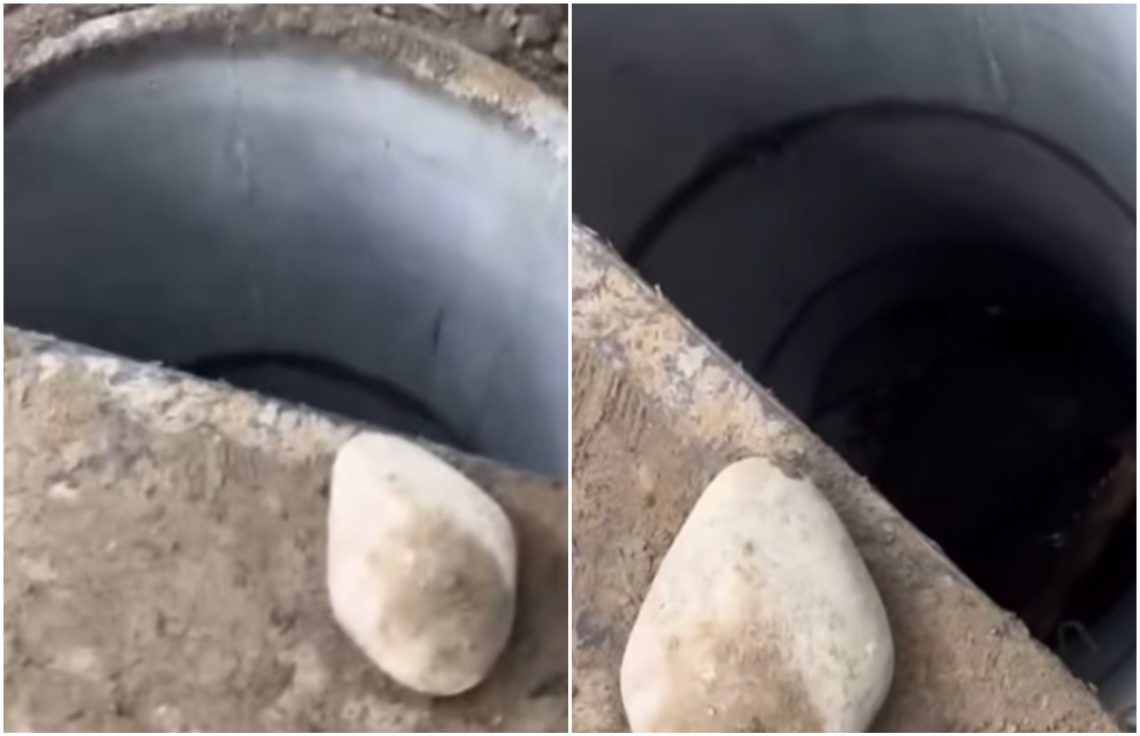 🎥 „თბილისში, ჭაში ბავშვი ჩავარდა“ – რა ინფორმაცია ვრცელდება?