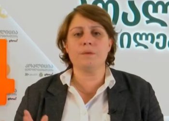 ელენე ხოშტარია მიმართვას ავრცელებს