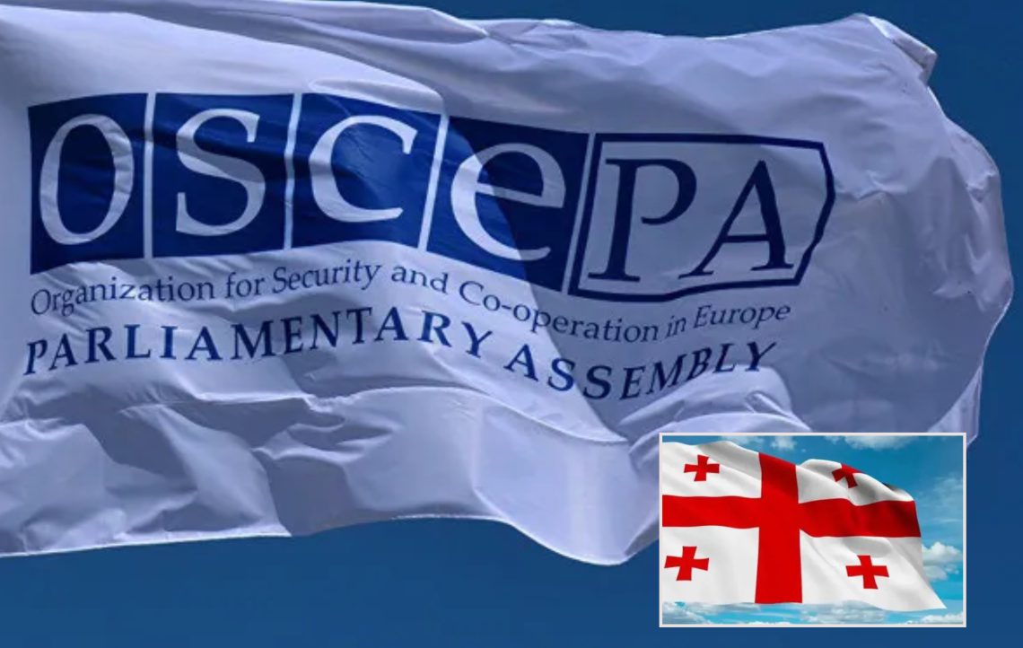 ეუთო-ს საპარლამენტო ასამბლეამ 2025 წლის ანგარიში მიიღო – რა წერია დოკუმენტში საქართველოს შესახებ?
