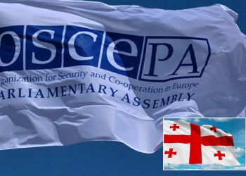 ეუთო-ს საპარლამენტო ასამბლეამ 2025 წლის ანგარიში მიიღო – რა წერია დოკუმენტში საქართველოს შესახებ?