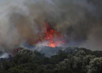„რამდენიმე დაღუპული, 50 000-მდე ევაკუირებული ადამიანი…“ – მეშვიდე დღეა, თურქეთში ძლიერ ხანძარს ებრძვიან