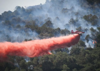 საფრანგეთის სამხრეთ ნაწილში, ტყეში ხანძრის გამო მარსელის აეროპორტი დროებით დაიხურა