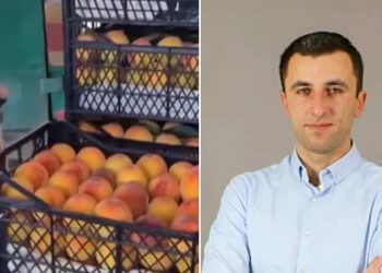 “კატასტროფა… ეს არის ჩვეულებრივი კანცეროგენი…“ – ექსპერტი ასახელებს ნივთიერებას, რომელიც გავრცელებულ ვიდეოშია გამოყენებული