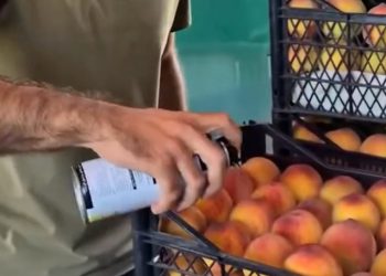 „ცნობილია სავაჭრო ობიექტიც და პირიც, რომელიც ატმის შეღებვის ვიდეოში ფიგურირებს“ – ახალი დეტალები