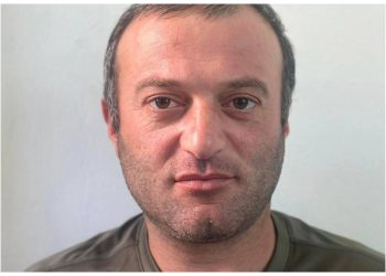 “რამდენიმე დღის მანძილზე ეძებდნენ. კამერებმა დააფიქსირეს, როგორ შევიდა ზურგჩანთით ტყეში” – რა ინფორმაცია ვრცელდება ამერიკაში დაღუპულ ქართველზე