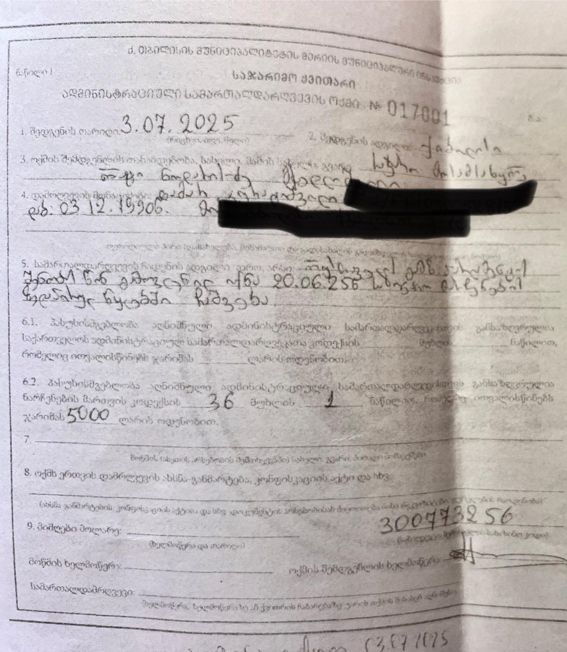 შადრევანის წითლად შეღებვის გამო, სამოქალაქო აქტივისტი 5000 ლარით დააჯარიმეს