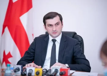 “კლინიკაში შეყვანილია თორნიკე რიჟვაძე, რომელსაც გულმკერდის არეში ცეცხლნასროლი ჭრილობა აღენიშნებოდა” – შსს