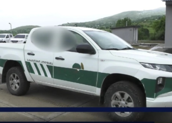 „თურქეთიდან უკანონოდ შემოსვლას ცდილობდნენ“ – შსს განცხადებას ავრცელებს