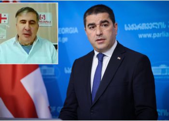 პაპუაშვილის თქმით, მიხეილ ყაველაშვილის შეთავაზება მსჯავრდებული პოლიტიკოსებისადმი მიხეილ სააკაშვილზე არ ვრცელდება, რადგან ის უკრაინის მოქალაქეა