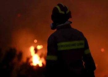 კუნძულ კრეტის შემდეგ ტყის ხანძარს ათენის გარეუბანშიც ებრძვიან