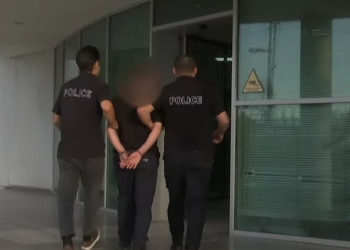 „დაკავებულია თურქეთის 3 მოქალაქე, მათ შორის, წითელი ცირკულარით ძებნილი პირი“ – შსს განცხადებას ავრცელებს