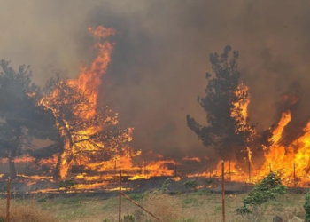 „დაიღუპა 10 მეხანძრე, არიან დაშავებულები…“ – ხანძარი თურქეთში