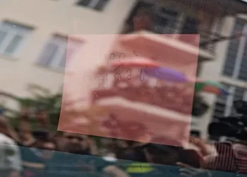 “სილა რეჟიმს” – მზია ამაღლობელი