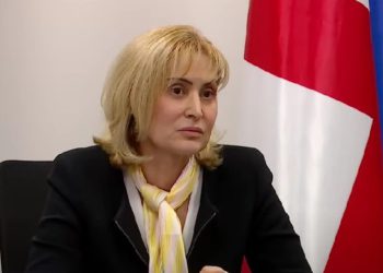 “სინამდვილეში ეს არის საკუთარი თავის და სახის გადარჩენის მცდელობა და სამართალთან ამას საერთო არაფერი აქვს” – მზია ამაღლობელის ადვოკატი