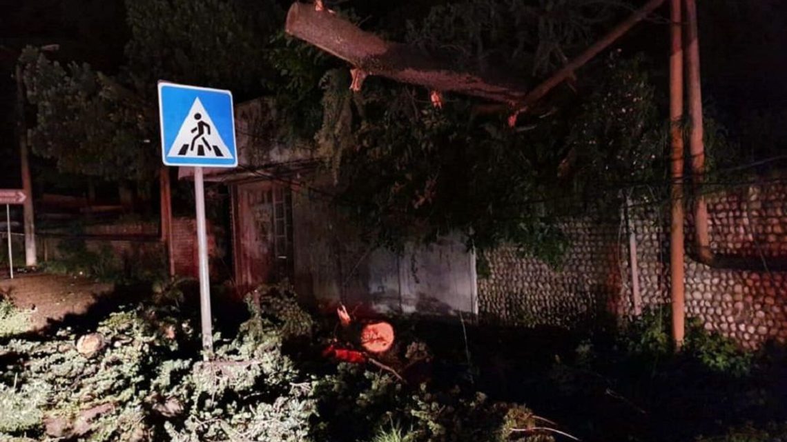 სტიქია კახეთში – ძლიერმა ქარმა და წვიმამ მოსახლეობას პრობლემები შეუქმნა