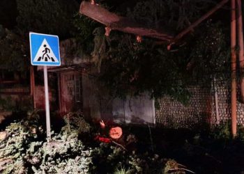 სტიქია კახეთში – ძლიერმა ქარმა და წვიმამ მოსახლეობას პრობლემები შეუქმნა