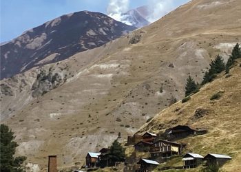 თუშეთში, წოვათის ხეობაში ხანძრის ჩაქრობას მეოთხე დღეა, ცდილობენ