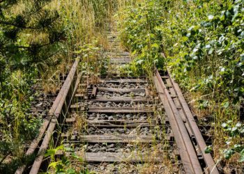 “ევროკავშირი  „რკინის რაინის“  სარკინიგზო მაგისტრალის აღდგენას აანონსებს” – სატრანსპორტო დერეფნის კვლევის ცენტრი