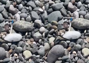 🎥”SOS! ფრთხილად იყავით! ასეთი საგანგაშო მდგომარეობაა!” – რა კადრები ვრცელდება ბათუმიდან