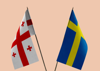 შვედეთის ინსტიტუტის ახალგაზრდა პროფესიონალების აკადემია საქართველოს საჯარო მოხელეებს შეზღუდვას უწესებს