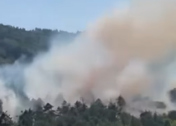 თბილისში ხანძარია – რა კადრები ვრცელდება სოციალურ ქსელში